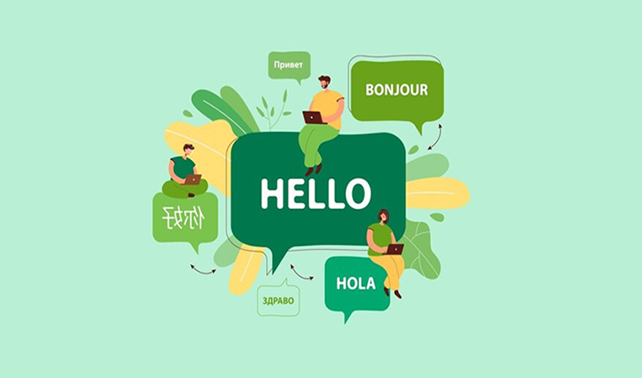 نصب و ترجمه افزونه و قالب در وردپرس