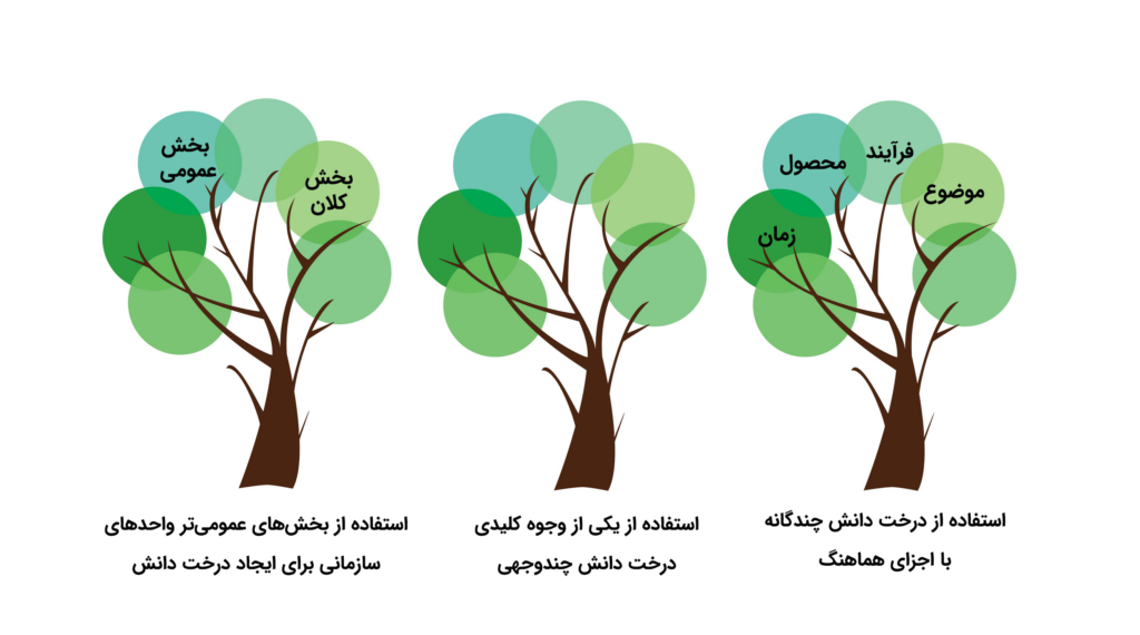درخت دانش